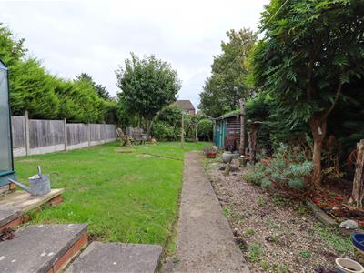 Picture 21